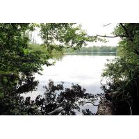 1593_5660 Ein See im Achtermoor des Boberger Naturschutzgebiet im Hamburger Stadtteil Lohbrügge. | 